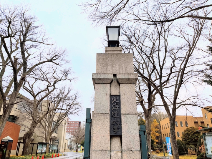 【活動報告】北海道大学を訪問。教員免許が活きる社会的養護のキャリアをご案内